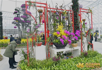 富乐花乡主题公园第 4 张图片