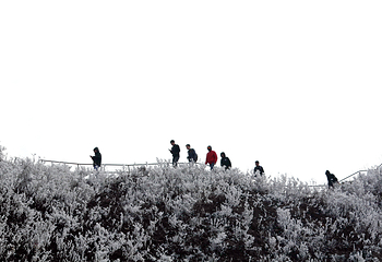 清远金子山原生态旅游风景区第 158 张图片