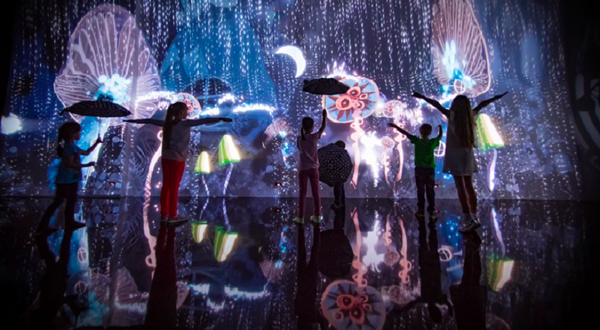 奇梦爱丽丝之重回仙境