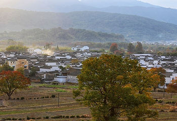 塔川第 43 张图片