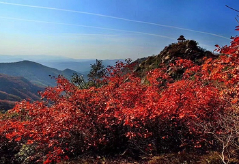 竹林长寿山第 14 张图片