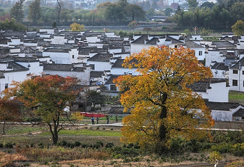 塔川第 50 张图片