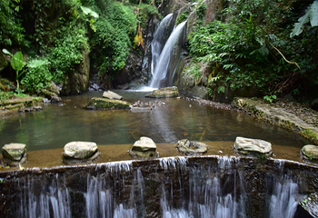 清远金子山原生态旅游风景区第 204 张图片