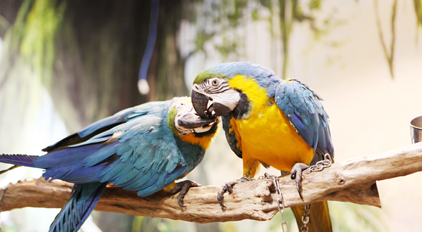 超级萌物厦门店