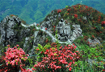 清远金子山原生态旅游风景区第 121 张图片