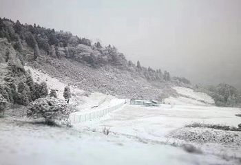 川西红枫岭第 48 张图片
