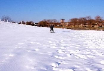 士国庄园滑雪场第 3 张图片