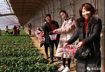 亚太生态观光园第 3 张图片