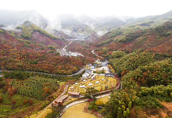 徐凫岩第 7 张图片