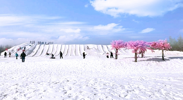 杨柳青庄园首届欢乐冰雪季