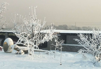 侏罗纪公园—失落的雪村第 6 张图片