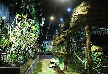 JOLI ZOO(龙湖虹桥天街购物中心A馆店)第 9 张图片