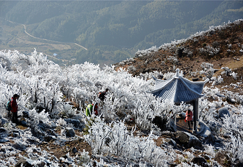 清远金子山原生态旅游风景区第 191 张图片