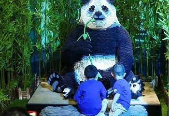濒危动物环保展-海口站第 10 张图片