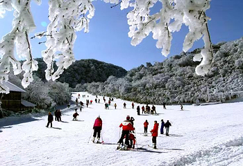 金佛山北坡景区第 10 张图片