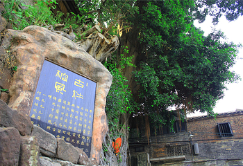 南风古灶第 11 张图片