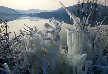 五阳湖生态旅游度假区第 11 张图片