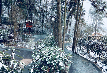 宣城泾县桃花潭畔森林温泉第 31 张图片