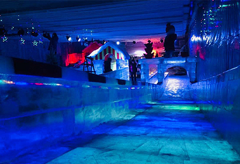 侏罗纪冰雪乐园(横岗店)第 10 张图片