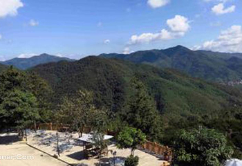印山国家森林康养基地第 2 张图片