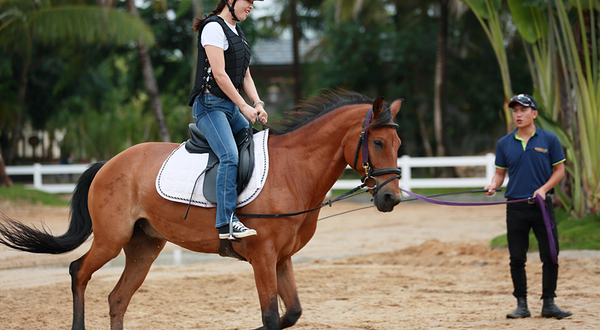 星博旅行（小骑士）国际马术中心