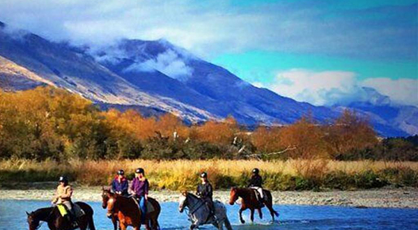 罗托鲁瓦农场骑马野趣之旅