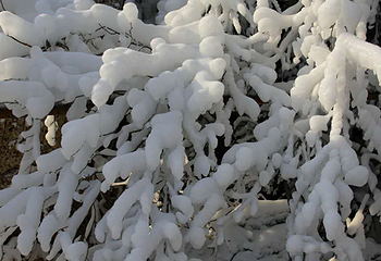 河坎子冰瀑冰雪大世界第 16 张图片