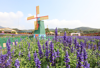 盈香心动乐园第 32 张图片