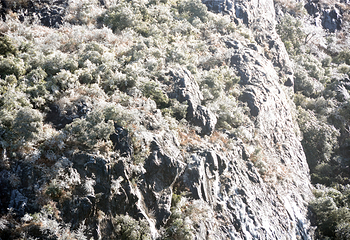 清远金子山原生态旅游风景区第 157 张图片