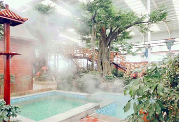 太白山美佳温泉第 11 张图片