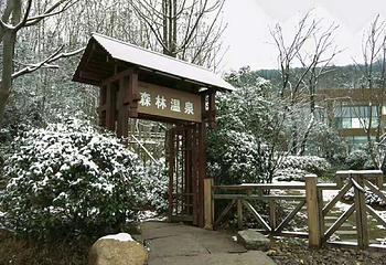 宣城泾县桃花潭畔森林温泉第 24 张图片