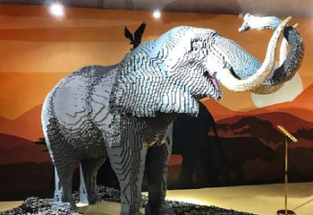 濒危动物环保展-海口站第 1 张图片