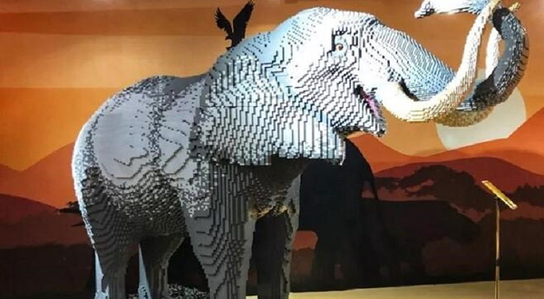 濒危动物环保展-海口站