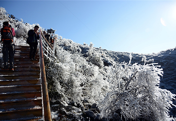 清远金子山原生态旅游风景区第 151 张图片