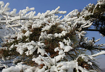 河坎子冰瀑冰雪大世界第 34 张图片