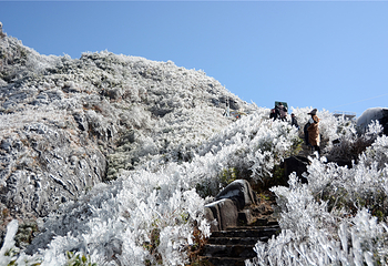 清远金子山原生态旅游风景区第 153 张图片