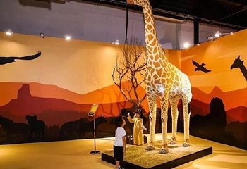 濒危动物环保展-海口站第 12 张图片