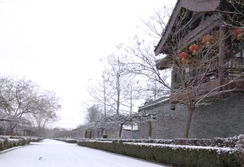 杨柳青庄园首届欢乐冰雪季第 3 张图片