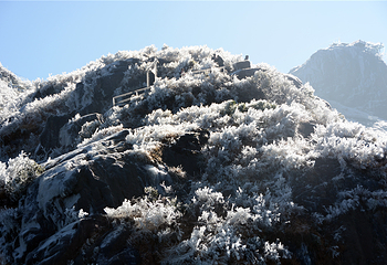 清远金子山原生态旅游风景区第 142 张图片