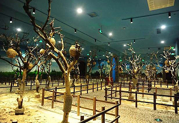 JOLI ZOO(龙湖虹桥天街购物中心A馆店)第 7 张图片