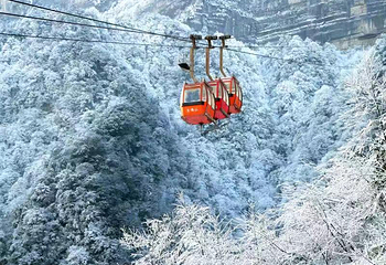 金佛山北坡景区第 8 张图片