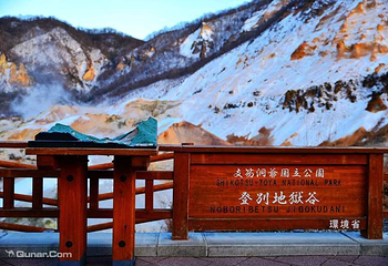 昭和新山熊牧场第 5 张图片