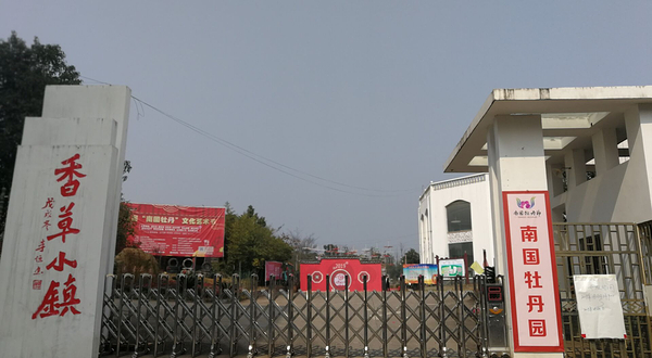 郴州南国牡丹园