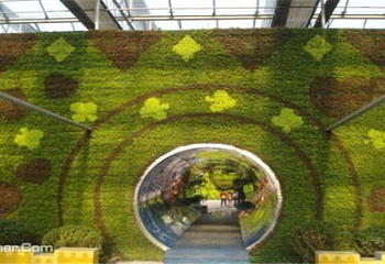 龙达幻城植物王国第 4 张图片