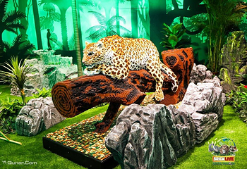 濒危动物环保展-海口站第 9 张图片