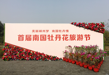 郴州南国牡丹园第 3 张图片
