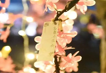 天鹅湖国际慢城旅游度假区第 2 张图片