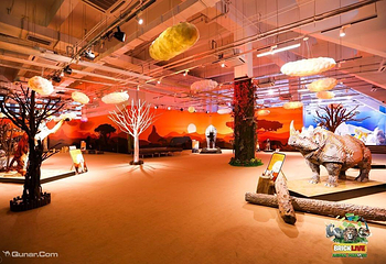 濒危动物环保展-海口站第 2 张图片