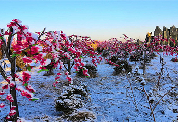 汣龙冰雪世界第 3 张图片