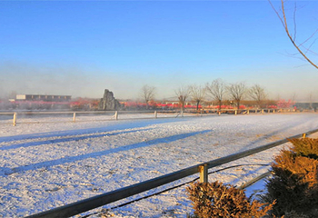 汣龙冰雪世界第 4 张图片
